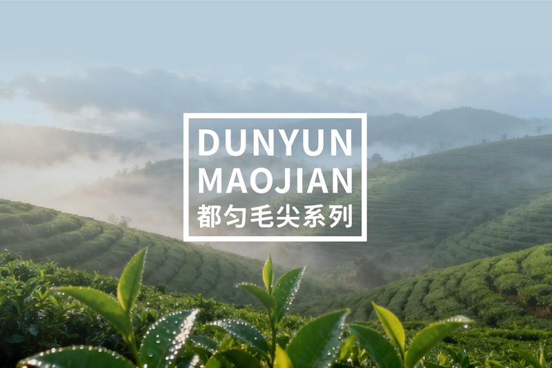 剑江啤酒生产基地：都匀剑江河畔现代化厂房